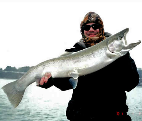 photo of a steelhead fish