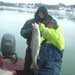 Joe Shilbilski from PA comes to fish with Niagara River Guides every winter to catch beautiful steelhead like this.